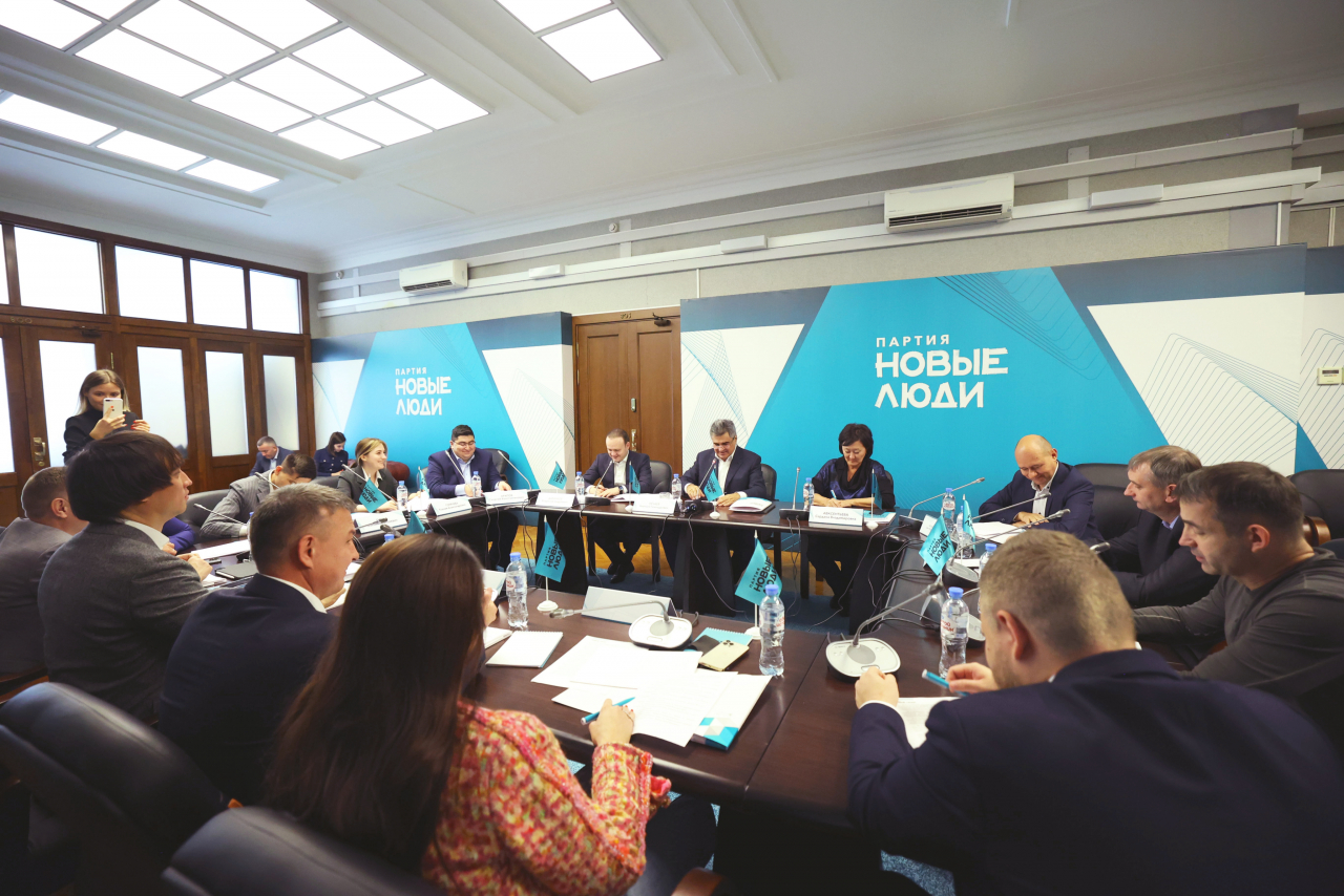 Партийные фракции