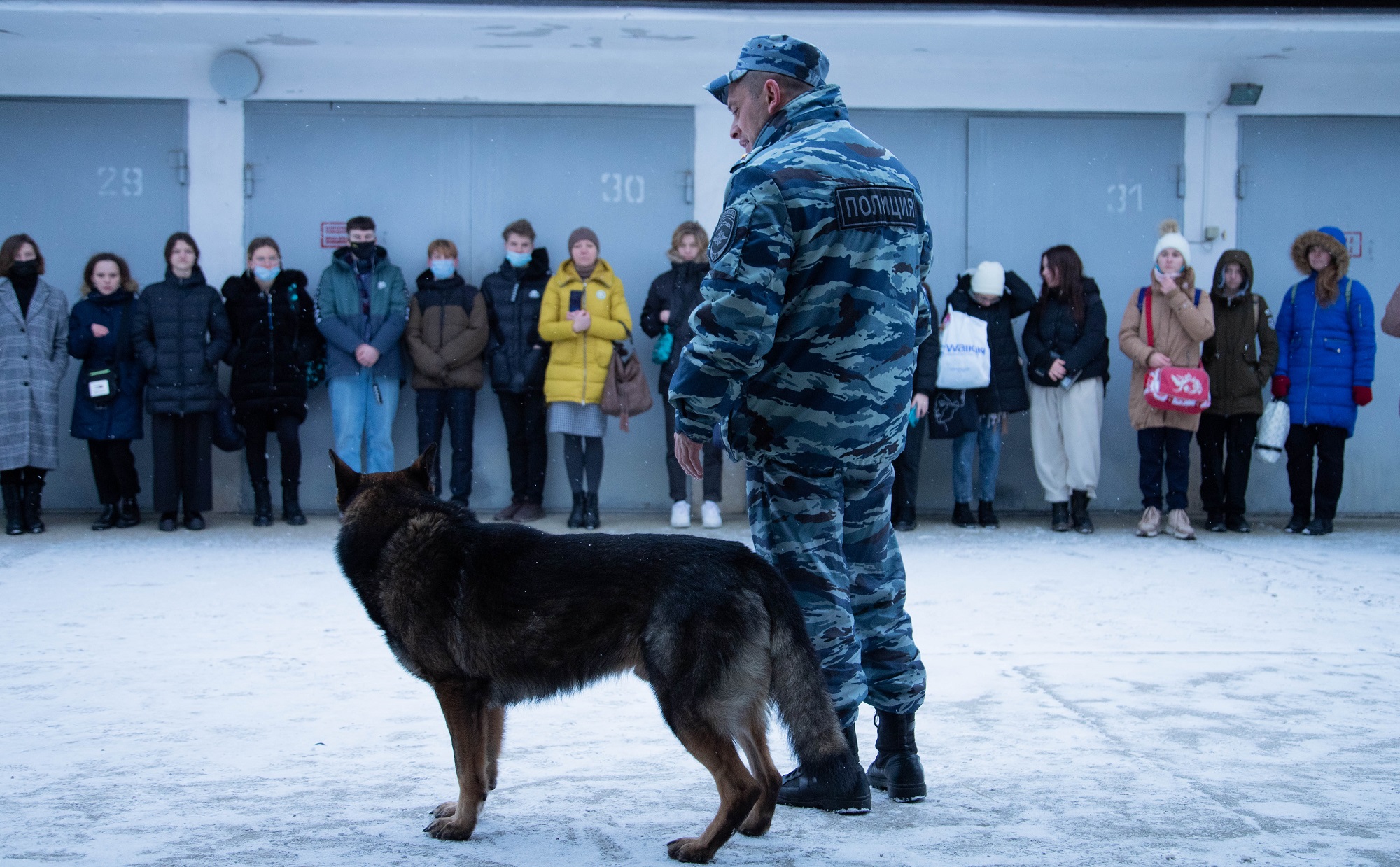 Колледж кинолог спб. Кинолог СПБ. Центр кинологической службы Севастополь. Кинологическая служба МЧС. Кинолог МЧС.